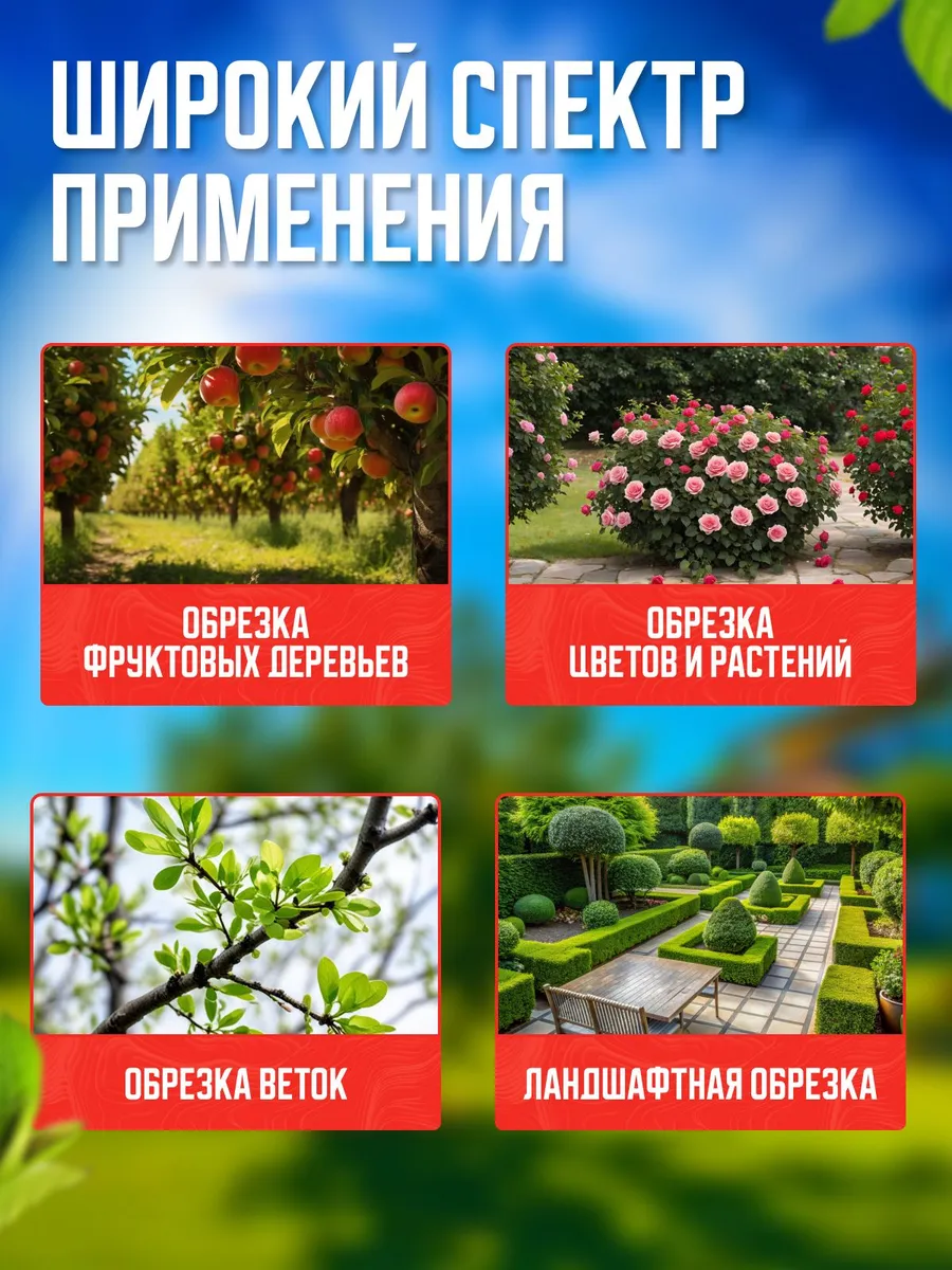 Отзывы